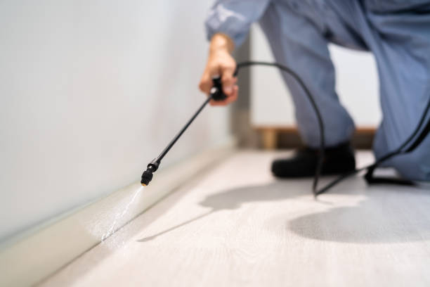 Licensed Pest Control service in Plantsville, CT - Show Me Pest Control